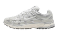 Nike P-6000 - Light Bone